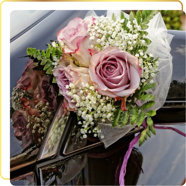 Athens Transportation Transportation